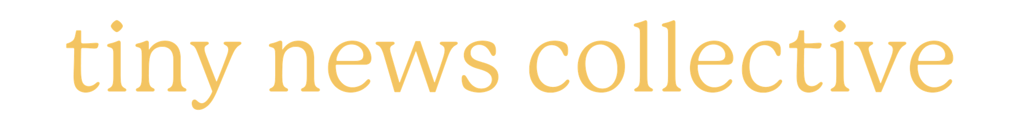 Tiny News Collective Member Portal